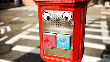 مفارقة الوجه